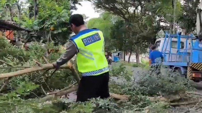 Cegah Laka Lantas, Satlantas Polres Trenggalek Pangkas Ranting yang Halangi Rambu Lalu Lintas - Surya.co.id