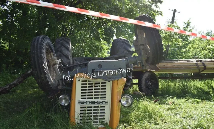 Dramat pod Limanową. Ursus zmiażdżył rolnika