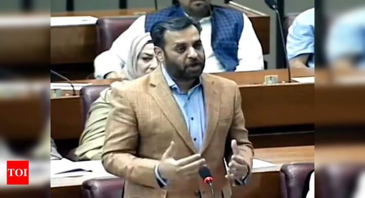 'India landed on moon, while we ... ': Pakistani lawmaker highlights lack of amenities in Karachi - Times of India