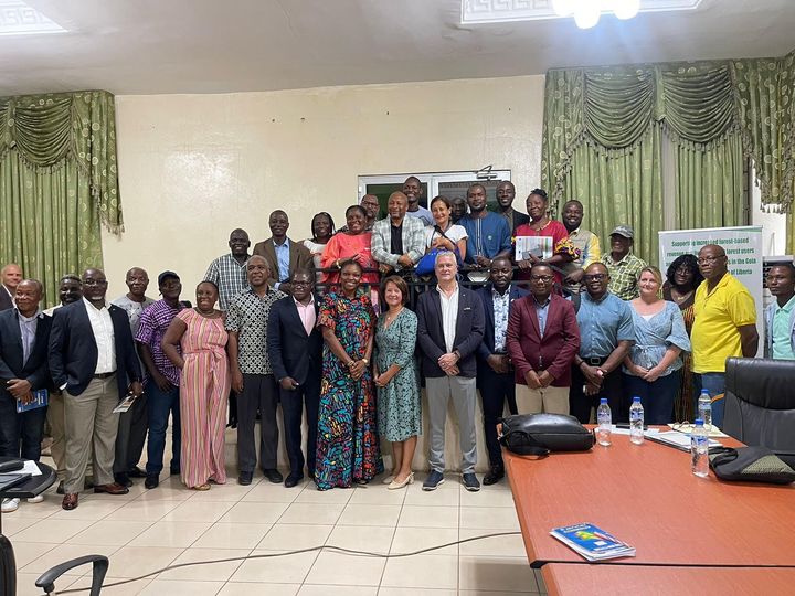 Liberia: Forestry Development Authority, United Nations Development Program Launch "Let's Go Green" Project - FrontPageAfrica