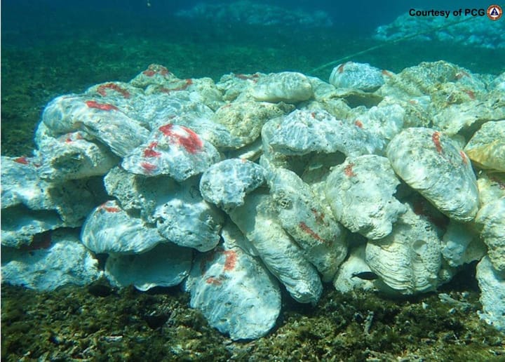 IN PHOTOS: Philippines says China ruined marine environment in Panatag Shoal