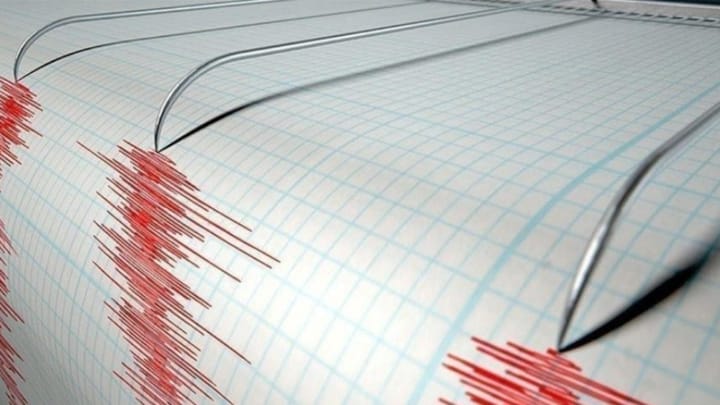 Cutremur in zona Gorj, vineri dimineata! Ce magnitudine a avut seismul