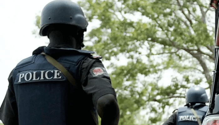 Insecurity: FCT Police arrests 300 suspects disguised as scavengers - Businessday NG