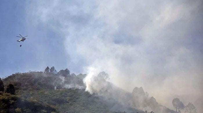 CDA fire-fighters stop Haripur forests' blaze from spreading to Margalla Hills