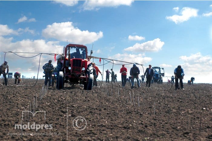 A şasea parte din hrana omenirii este în pericol, potrivit unui nou raport UNCCD