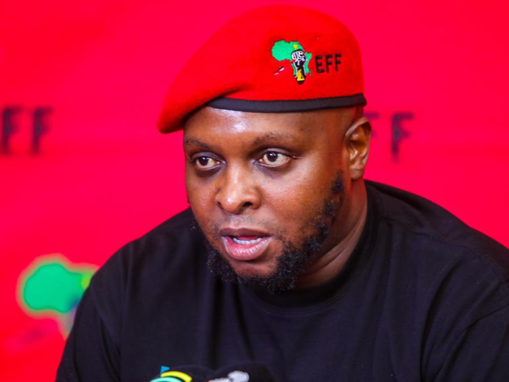 EFF proposes formation of coalition govt 'that includes black political parties'