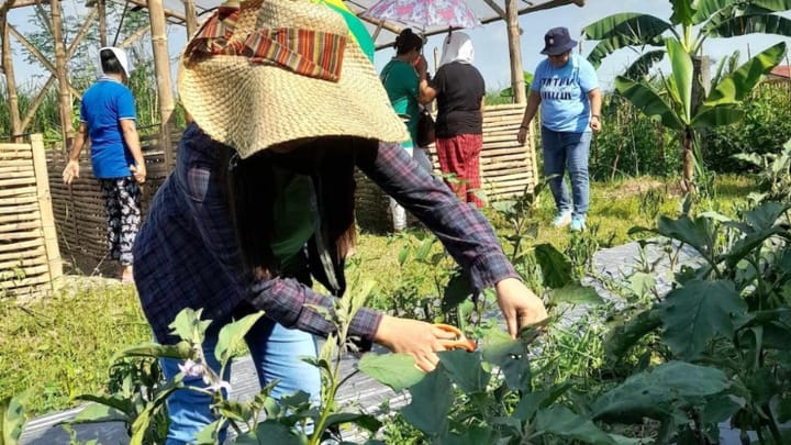 Epson, WWF-Philippines complete food shed project in Tarlac