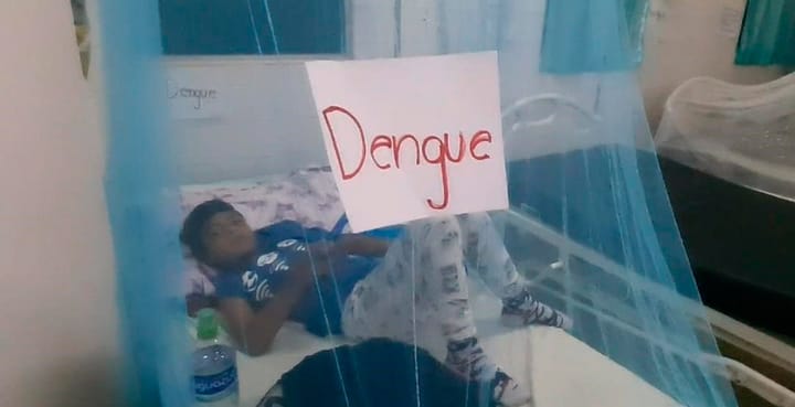 Doce pacientes con dengue en Hospital General del Sur - Diario La Tribuna