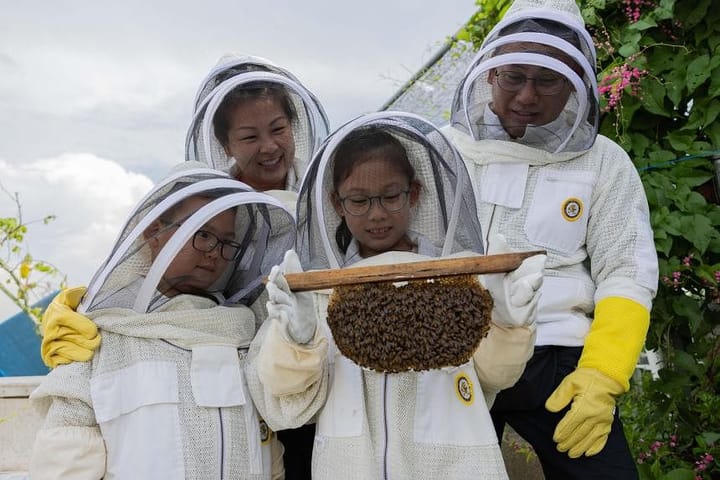 ST subscribers and their kids become beekeepers for the day at bee workshop