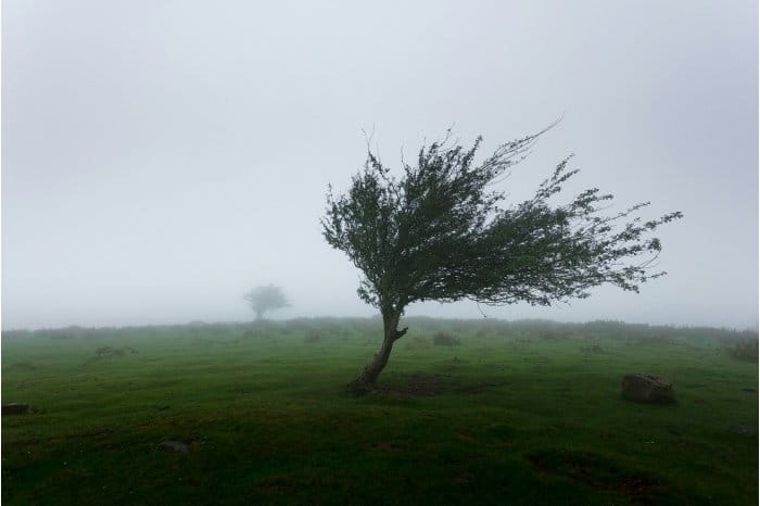 Meteorologii au anunțat un nou Cod galben